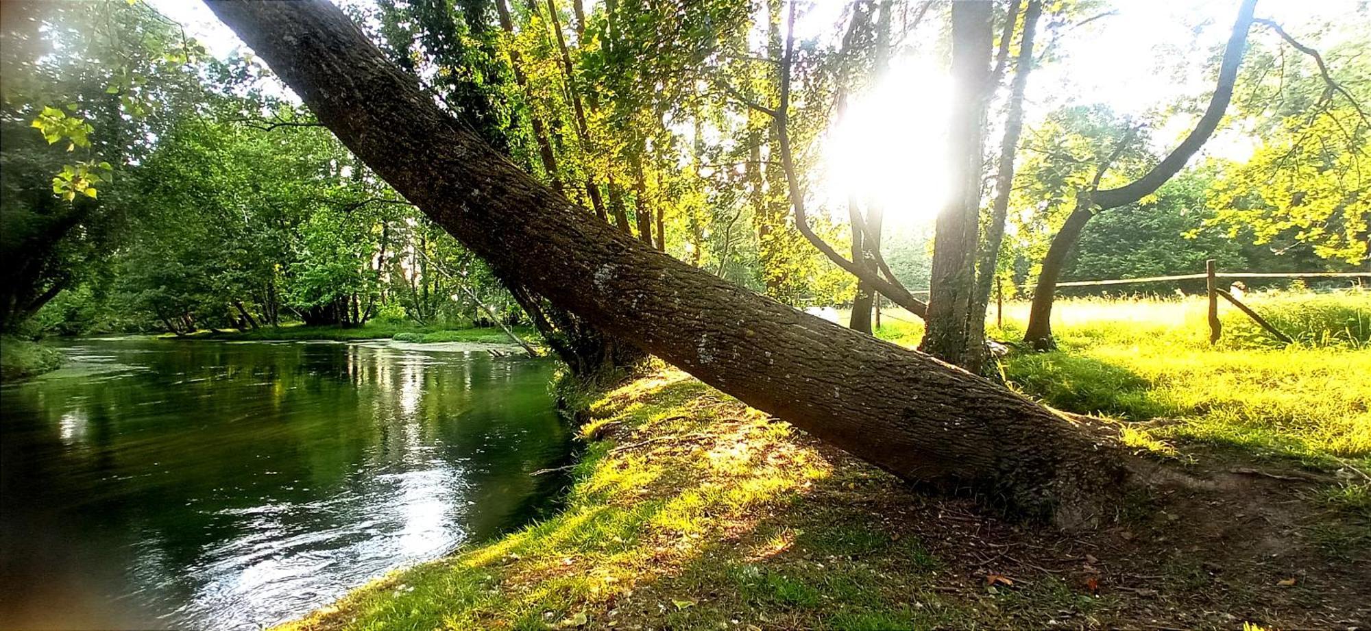 La Regina Del Bosco Villa Rivignano Dış mekan fotoğraf
