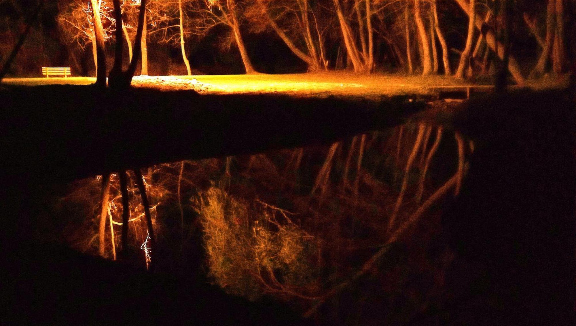 La Regina Del Bosco Villa Rivignano Dış mekan fotoğraf